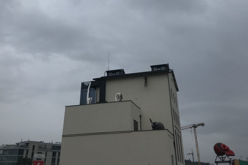 IMG 9952 1